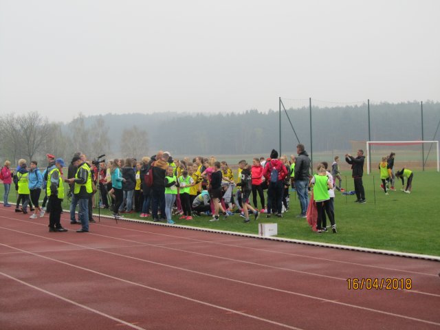 sztaf 1